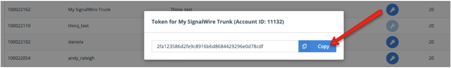 The Token popup, allowing the user to copy the trunk token